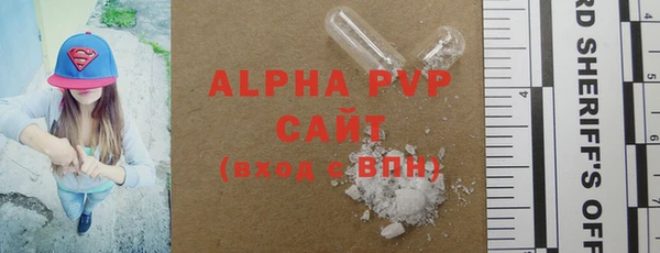 spice Богданович