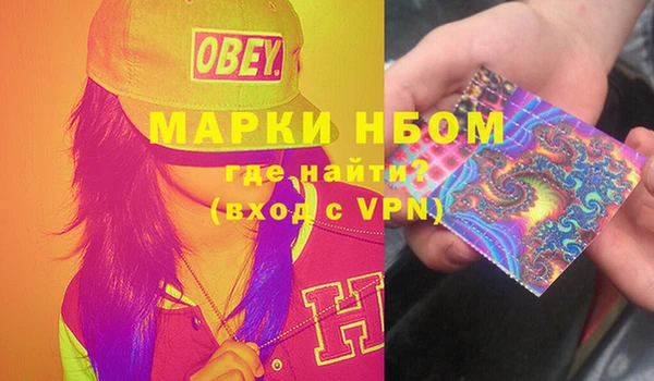 каннабис Новозыбков