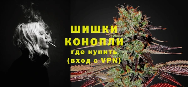spice Богданович