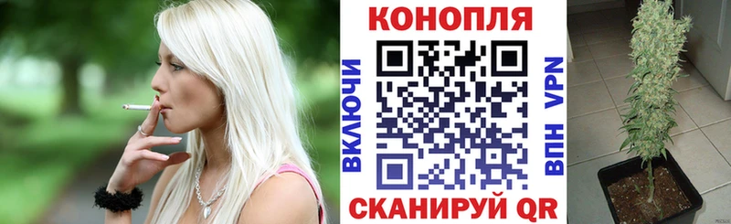 Купить где  Кушва  Шишки марихуана ГИДРОПОН 